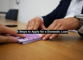 Domestic Loan