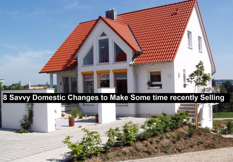 Savvy Domestic Changes